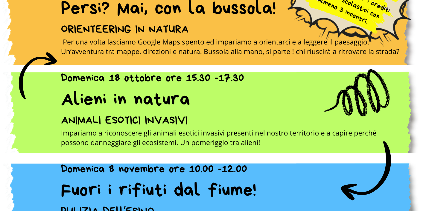 Fuori_schemi_autunno (2)