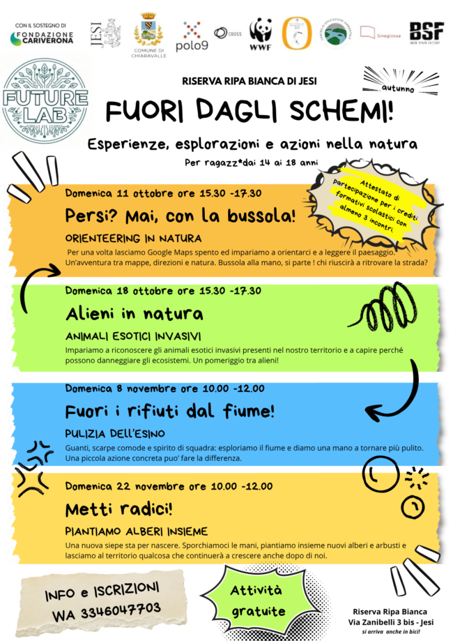 Fuori_schemi_autunno (2)